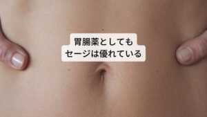 またセージには、胃腸薬としても優れた効果があり、セージの精油には消化器系の平滑筋を弛緩させる効果があります。またセージの苦味によって食欲を刺激し、消化を助けるといわれています。
さらに消化を促進する消化酵素と胆汁の分泌を促進し、胃の働きをサポートします。また、セージのハーブティーを飲むと胃腸内のガスを排出する効果があるといわれています。
消化不良や下痢、大腸炎や肝臓病に有効だとされ、さらに殺菌作用があるため胃腸炎などの感染症を改善する効果が期待されています。