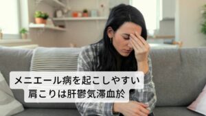 気の巡りを調整する役目である肝（かん）がストレスなどにより機能低下を起こすことで治りにくい肩こり・肩痛が起こります。
(1)ストレスなどの精神的な疲労により肝の疏泄機能（気の巡り）が低下し、気の滞りから血液の流れも悪くなると血液が肩に溜まり肩こりが発生します。
(2)肝は血液を蔵血する役目も持っていますがデスクワークなどで目を酷使するとその血液を消耗してしまい結果として肩への血流が悪くなり肩こりが起こってしまいます。
肩こりでお悩みの方の多くは「肝鬱気滞血於（かんうつきたいけつお）」が関係しています。
この体質の肩こりは耳の後ろのリンパが張って痛みが出現しメニエール病にかかりやすくなります。
