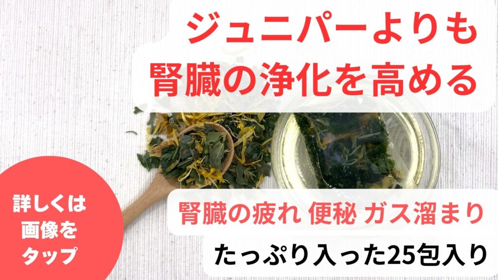 ジュニパーベリーの効果は腎臓の毒素を浄化