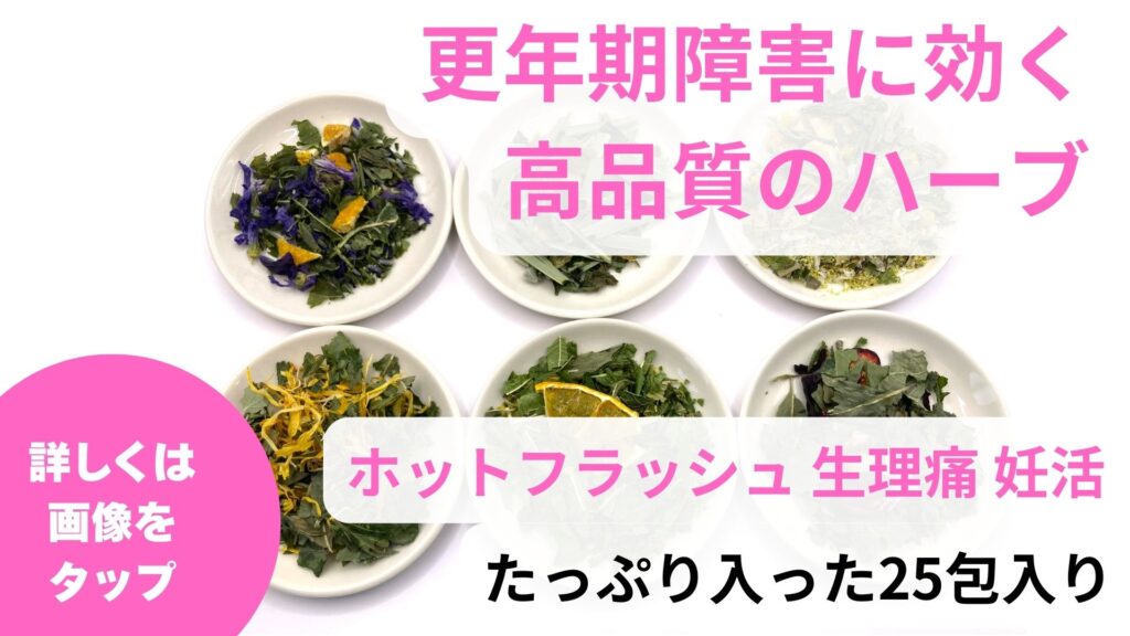 骨粗しょう症を予防するハーブはスギナ