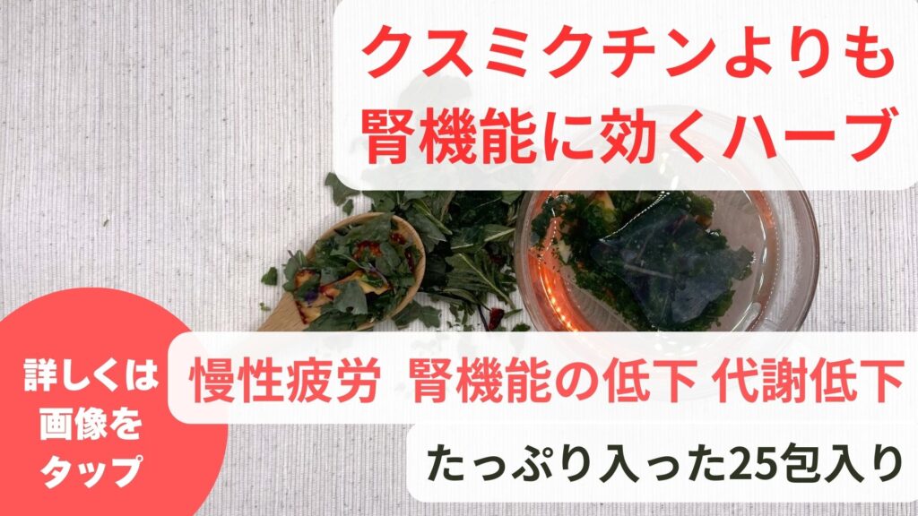 腎臓に良いハーブティー｜クミスクチンの効能と副作用
