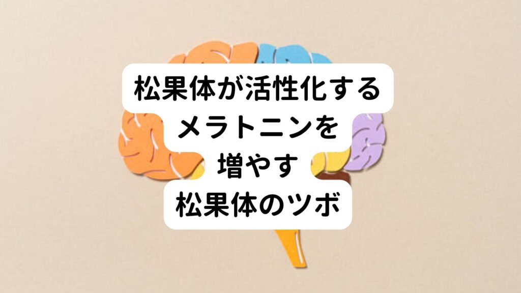 【松果体が活性化する】メラトニンを増やす松果体のツボ