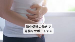 また食後にレモンバーベナティーを飲むと、消化を促して胃腸の働きを助けます。そのためなかなか食欲が湧かなかったり、食べ始めても思うように量が食べられなかったり等、食欲不振、胃弱、胃もたれなど消化吸収に関わる不調に効果が期待できます。しかし、長期にわたって多量に飲むと胃を刺激する場合があるので注意が必要です。