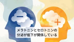 メラトニンとセロトニンの乱れが朝の絶望感の原因しかし、セロトニンとメラトニンは、分泌量が連動しているためセロトニンの分泌量が少なくなると、夜間のメラトニン分泌量も減少することになります。
朝の絶望感が起こる原因の1つは、このセロトニンの減少とメラトニンの減少が挙げられます。

結果、眠りが浅くなり、早朝に目が覚めてしまうことになるのです。