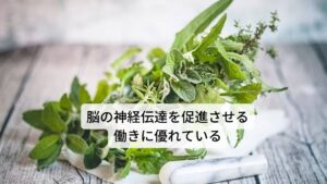 レモンバームは和名ではセイヨウヤマハッカ（西洋山薄荷）、コウスイハッカ（香水薄荷）と呼びます。主要成分にはテルペン、粘液質（アラビノガラクタン）、タンニン、フェノール酸（カフェ酸、クロロゲン酸）、精油（ファルネソールなど）などが含まれています。
作用には
①発汗作用
②解熱作用
③解毒作用
④健胃作用
⑤消化促進
⑥滋養強壮
⑦鎮静作用
⑧ヘルペスの増悪の防止
⑨抗不安作用
⑩駆風作用
⑪抗ウィルス作用
⑫抗菌作用
などがあります。
効用には消化器系機能障害の改善、不安の完治、不眠の改善、偏頭痛の緩和、神経痛の改善、ヘルペスの完治などがあります。