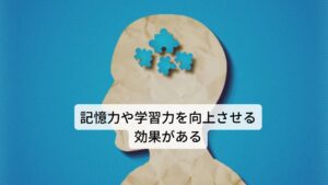 私たちの脳内では、主に海馬や前頭葉が記憶力や学習力、集中力を担っており、その維持には複数の神経伝達物質が関わっています。この記憶力や学習力、集中力を向上させる効果がレモンバームにはあります。この脳の記憶力や学習力、集中力の機能は加齢や病気により脳内でアセチルコリンが十分作れなくなったり、あるいは分解が早まってしまうことで低下してしまいます。この機能低下に対してレモンバームには、脳内のアセチルコリンを分解する酵素（アセチルコリンエステラーゼ）の働きを抑える効果があります。それによりレモンバームを摂取することで脳の海馬でアセチルコリンエステラーゼ活性が抑えられ、記憶力や学習力を改善する効果が期待できます。