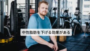 その他にフェヌグリークは胃の痛み、消化不良、食欲不振に効果が期待できるハーブです。また女性ホルモンのバランスを整える働きもあり、女性特有の悩みである生理痛、月経痛、更年期障害などを改善するとされています。また水溶性食物繊維が豊富に含まれていることで血糖値やコレステロールや中性脂肪を下げる働きもあります。そのため糖尿病、動脈硬化、心筋梗塞、脳梗塞といった生活習慣病の予防に効果的です。これにより近年の研究では血糖値やコレステロール値を下げる働きがあることも分かってきました。 