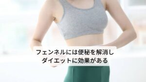 フェンネルには腸内環境を整える作用があるためダイエットのために古くから用いられてきました。フェンネルには利尿作用と発汗作用があり、さらに便秘の完治に優れており、お腹に溜まったガスを排出する作用があります。これにより、肥満の原因となる体内の余分な水分や老廃物を排出する効果が期待できダイエット効果を促進させます。また、フェンネルの香りには食欲を抑える働きもあることから、古代の女性からダイエットの目的で親しまれてきました。