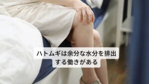 ハトムギには、胃の健康を保つ効果があります。水分を補給すると、誰でも一度胃に溜められて、胃から少しずつ十二指腸、小腸、大腸へと送られて吸収される働きを持っています。しかし、水分を補給しすぎると、胃の中に大量に溜まってしまいます。この胃に溜まった過剰な水によってが胃に負担がかかり、胃液を薄めることになります。この胃液が薄まることで消化不良を引き起こします。ハトムギにはこのような体内の余分な水分を排出を促す働きがあるため、胃を健康に保つ効果があります。