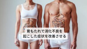 サンザシは漢方薬では生薬として健胃（胃の働きを高める）の働きに優れており、消化薬として消化不良や食欲不振の改善や防止に使われています。サンザシは胃酸の分泌促進を起こし消化不良を改善させ、胃の負担を軽減させる効果があります。また抗菌作用や血管を広げる働きも認められているため、胃もたれや食傷などで傷ついた胃粘膜を正常にし、血流を高めて栄養を送る働きがあります。