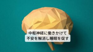 またサンザシには精神を落ち着かせ、気持ちをリラックスさせる効果があります。サンザシは中枢神経に働きかけて脳内神経伝達物質の分泌を促します。それにより精神的な不安を和らげて睡眠の質を改善する働きを持つことが知られています。また同じ作用により、鎮痛鎮静作用を持つと考えらているため身体の倦怠感や肩こりなどにも効果があると考えらえています。