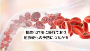 ​またマカは動脈硬化など血管の老化などの予防にも効果があります。 この血管の老化は活性酸素の増加が原因だとされていますが、 ​この影響によって血管が細くなり血栓ができやすくなると、動脈硬化から心筋梗塞や脳梗塞など命に関わる病気になる危険性が高まります。活性酸素は身体の中に入ってきた細菌やウイルスを退治してくれる働きを持っており人間の身体にとって必要なものです。しかし、増えすぎるとその強力な作用により細胞を傷付けてしまうため、結果として病気や老化を促進させる原因となります。 この​活性酸素は、大気汚染や紫外線、ストレス、喫煙、食品添加物の過剰摂取などが原因で増加するといわれています。マカはこれらによって溜まってしまったサビを取る抗酸化作用に優れており、この血管の老化を防ぐことによって、動脈硬化を予防する効果があります。