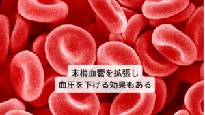 またヤロウの葉には、止血作用があります。昔からヤロウは止血薬として使用されてきた歴史があります。洗浄した軽い切り傷や擦り傷にはヤロウの葉を患部に揉みこみ包帯を巻いて用いられていました。ほかにも血液と関係する作用として、末梢血管を拡張し、血流をよくすることから血圧を下げる効果があるとされています。