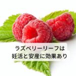 ラズベリーリーフは妊活と安産に効果あり