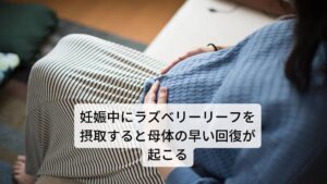 ラズベリーリーフの特徴的な効果として女性の子宮に関係した諸症状の緩和と改善があります。またラズベリーリーフを摂取することで安全な分娩、母体の早い回復などがあり、また出産準備として、出産の約3ヵ月前からラズベリーリーフをハーブティーにして飲むと産後の肥立ちが良くなります。その他にも女性ホルモンが安定するためPMS(月経前症候群)、月経困難、月経過多、つわり、母乳の分泌促進、子宮強壮にも効果が期待されています。