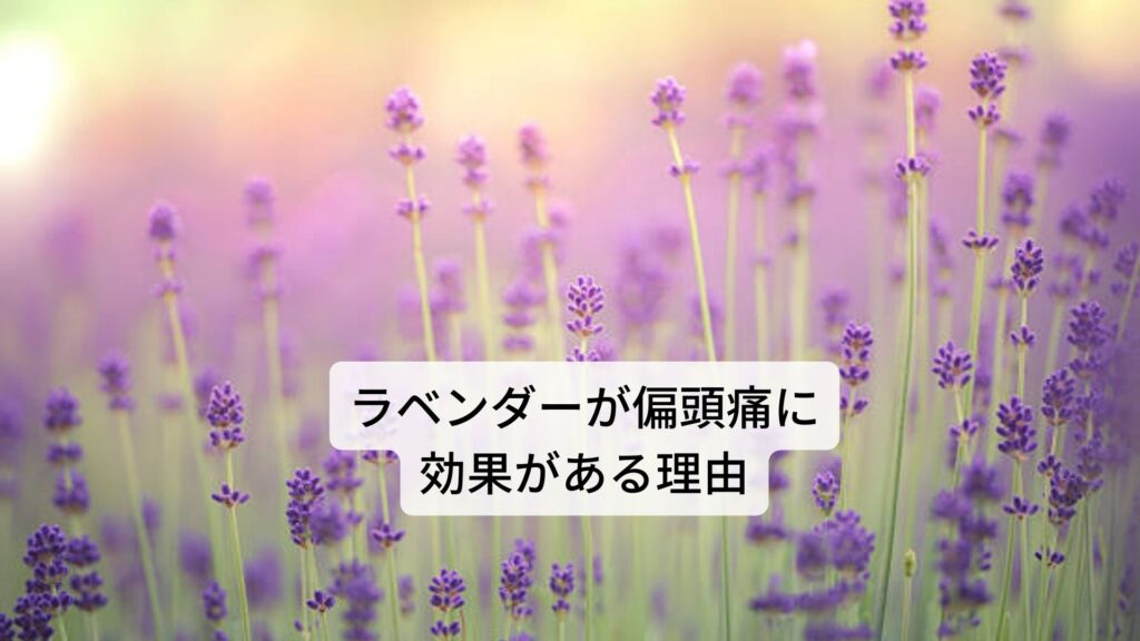 ラベンダーで頭痛にならない本当の理由