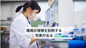 リコリスは、古くから腫瘍を抑制する漢方（甘草）として利用されてきました。リコリスに含まれているグリチルリチンが腫瘍などを攻撃し縮小させる働きをもつマクロファージのIL-12（インターロイキン-12）を増加させる作用があり腫瘍の増殖を抑制する効果が期待されています。そのため甘草の抗腫瘍効果と関連すると考えられます。