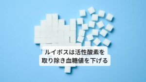 糖尿病の発症には、加齢や遺伝など様々な要因が存在しますが、体内で発生する活性酸素によっても、糖尿病が発症するリスクは高まるといわれています。この活性酸素に対してルイボスの持つ強力な抗酸化作用によって活性酸素を取り除き、糖尿病を予防する効果があると考えられています。ルイボスに含まれているアスパラチンというフラボノイドは、糖尿病の原因となる高血糖の予防効果があるという研究報告がされているため高血糖の方におすすめのハーブといえます。