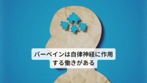 バーベインは和名では クマツヅラ（熊葛）と呼びます。主要成分には精油(シトラール)、イリドイド配糖体(ベルベナリン)、苦味質、タンニン、アルカロイドなどが含まれています。作用には
①鎮痛作用
②消炎作用
③鎮静作用
④発汗作用
⑤神経系への強壮
⑥消化促進
⑦催乳作用
などがあります。
 効用には疲労回復、頭痛の改善、不安の完治、神経過敏の鎮静などがあります。 