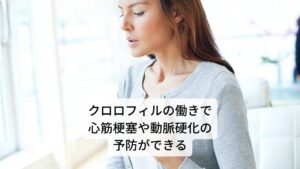 また松葉茶に含まれるクロロフィルなどの成分により、身体の抗酸化作用に優れています。そのため、血管壁を強化するなどの効果が期待できる事から、心筋梗塞や動脈硬化の予防にとても良いとされています。さらに血液の浄化や余分なコレステロールの排出、赤血球を増やすことで貧血の改善などの効果もあります。その他にも血液をサラ サラにする働きがあるため、抜け毛予防や育毛促進としても注目されています。