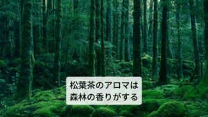 また松葉茶の成分の中にはαピネン、βピネンと呼ばれる成分があり、これは樹木に含まれる香りの元となるものになります。そのため松の葉でアロマオイルを使用すると本当に森林浴の効果があります。香りは森林の中にいるような奥行きのあるリラックス効果の高い香りになります。精神面への効果は、心の傷や自信のなさを癒し、心を強くさせてくれる働きを持っています。
