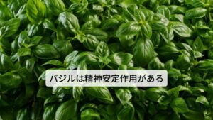 バジルは和名ではメボウキ(目箒)と呼ばれています。主要成分にはエストラゴール、サフロールなどがあります。
作用には
①消化促進
②殺菌作用
③滋養強壮作用
④健胃作用
⑥抗菌作用
⑦鎮痙作用
⑧抗うつ作用
⑨抗アレルギー作用
などがあります。
効用には胃炎の改善、胃酸過多の完治、胃痙攣の鎮静、イライラの完治などがあります。