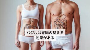 バジルは胃腸の機能を整える効果に優れています。またバジルの香りは食欲を促進し、さらに吐き気を抑制し、胃を丈夫に維持する効果があります。
そのため消化不良や食欲不振、また腹部の膨満感の改善にも働きかけます。その他にバジルには心身及び中枢神経の滋養強壮作用があるため身体のさまざまな機能を高めてくれる働きがあるといわれています。
さらに鎮静作用も秘めており、腹痛や吐き気、胃痙攣といった症状を鎮めてくれます。精神的なイライラや怒りっぽさなどの神経の高ぶりを落ち着かせて、偏頭痛にも効果があるといわれています。