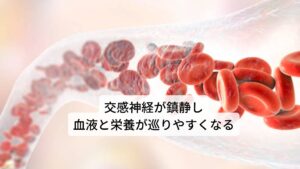 パッションフラワーの効能は様々ですが、その中でも特に中枢神経にある交感神経に直接働きかけ、過剰な反応を起こしている交感神経を鎮静させて、神経全体に血液循環と栄養補給を行う有益な働きがあります。また作用は穏やかであるため、不眠症状の方であれば安らかな眠りへと導いてすっきりと目覚めさせてくれる効果が期待できます。また不眠症でなくても、極度の緊張によって、頭痛や筋肉のこわばりがあるような場合や、不安感が強く感じられるようなときに用いると緊張した筋肉も弛緩しリラックスした気分になれます。