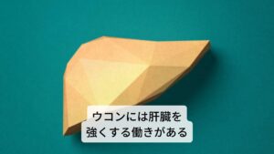 ウコンは別名ターメリックと呼ばれています。主要成分にはクルクミン、ビタミン類、精油などが含まれています。
作用には
①脂質低下作用
②胃の保護作用
③抗酸化作用
④消炎作用
⑤肝臓を強くする作用
⑥利胆作用（胆汁の分泌を施す）
効用には食欲不振の改善、鼓腸やガスなどの消化障害の改善、リウマチ性関節炎の症状緩和、消化不良の改善、飲み過ぎによる不調の改善などがあります。 