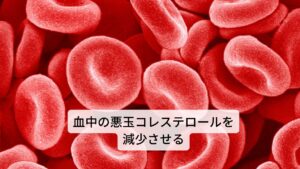 さらにウコンには、抗酸化作用を持つため、血中の悪玉（LDL）コレステロールによる体内の酸化を防ぎ、LDLコレステロール値を下げ、血流を改善する効果があります。また、このことにより動脈硬化を防いで、脳卒中や心臓病を予防する効果も期待されています。