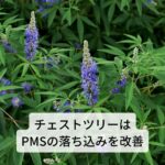 チェストツリーの効果は子宮筋腫の改善