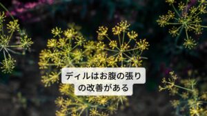 ディルは和名ではイノンド（蒔蘿）と呼ばれています。主要成分にはキサントン配糖体などが含まれています。
作用には
①駆風作用（お腹のガスを排出）
②緩下作用（便通を良くする）
③解熱作用
④解毒作用
⑤利尿作用
などがあります。
効用には軽度の消化障害の改善、口臭の緩和、割れやすい爪の改善、腸内ガスの排出、胃腸の不調の改善などがあります。 