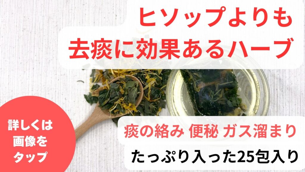 去痰に効果あるハーブ｜ヒソップは痰に効く効能のハーブティー