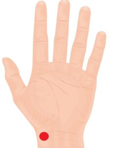 前述の2つに加え、さらに効果を補完するツボを厳選しました。

① 中府（ちゅうふ）：呼吸を深くする
・場所： 鎖骨の外側の端から、指1本分下のくぼみ。
・効果： 肺の機能を高め、呼吸を楽にする効果があります。猫背や巻き肩で胸が閉じている人にも有効です。

② 尺沢（しゃくたく）：咳や痰を鎮める
・場所： 肘の内側のしわの上。硬い腱の親指側にあるくぼみ。
・効果： 肺の熱を下げ、深い呼吸を助けます。喉の乾燥や炎症がある時にもおすすめです。

③ 太淵（たいえん）：呼吸器を強くする
・場所： 手首のしわの親指側、脈が触れるくぼみ。
・効果： 肺のエネルギーを補い、慢性的な息苦しさや疲れやすさを改善します。

④ 神門（しんもん）：不安を鎮める
・場所： 手首のしわの小指側、骨と筋の間のくぼみ。
・効果： 精神を安定させ、パニックによる過呼吸気味な状態を落ち着かせます。

⑤ 労宮（ろうきゅう）：心のリラックス
・場所： 手を軽く握った時、中指の先が当たるところ。
・効果： 「心の疲れ」を癒すツボです。緊張で呼吸が浅くなっている時に最適です。