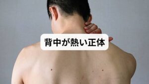 まず結論からお伝えします。
背中が熱いと感じる主な原因は、過度なストレスや疲労によって自律神経が乱れ、温度を感知する神経が過敏になっている状態です。

実際の温度： 皮膚の表面温度は平熱であることが多い
脳の誤認： 脳が「熱い」と錯覚してしまう（異常感覚）
主な要因： ストレス、更年期、長時間のデスクワーク、脳疲労

まずは「脳と神経をリラックスさせること」が、改善への一番の近道となります。