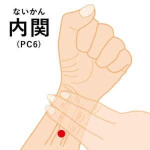 まず、今まさに息苦しさを感じている方が押すべき、最も効果的なツボを2つ紹介します。

① 壇中（だんちゅう）
・場所： 左右の乳頭を結んだ線の中央、胸骨の上。
・効果： 精神的なストレスや不安、動悸、胸のつかえを解消する「気の巡り」の特効薬です。
・押し方： 指の腹を使い、円を描くように優しく揉みます。深呼吸を合わせるとより効果的です。

② 内関（ないかん）
・場所： 手首の横紋（しわ）から指3本分肘側へ寄った、2本の筋の間。
・効果： 自律神経の乱れを整え、吐き気や動悸、精神的な緊張を和らげます。
・押し方： 親指で少し強めに、5秒かけて押し、5秒離す動作を数回繰り返します。