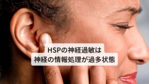 普通の人より繊細で神経が過敏の傾向にあるHSPですが、この神経過敏は普通の人よりも「神経の情報処理が多い状態」と考えられます。そのためHSP気質の人は一度に反応する神経の情報が多い分、大量の神経の情報を処理してしまうために「気疲れでダウン」や「メンタルが悪化」などが起こると考えられます。このHSPが過敏に反応している神経というのが「自律神経」なのではないか、というのが最近の研究でわかってきています。