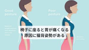 椅子に座ると胃が痛くなる原因に猫背姿勢がある椅子に座ると胃が痛くなる原因に構造的な問題があります。

人間の体幹は、胸部には心臓と肺があるため、胸骨、肋骨、鎖骨、背骨などでガードされています。
しかし、腹部は背面にある背骨しかありません。

椅子に座った時に腰が丸まり首が前に出て肩が内巻きになる猫背姿勢になってしまうと、胸郭が腹部を圧迫してしまいます。
上から胸郭によって胃が圧迫されて胃に痛みが起きているため、内科で消化管内を調べても原因が発見できません。※1