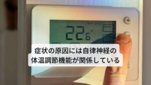 症状の原因には自律神経の体温調節機能が乱れることにある手のひら(または足の裏)が熱く感じる現象は人間の生理機能である自律神経の体温調節が関わっています。

もともと身体が温かく感じる（熱く感じる）というのは血管が拡張して血流量が上昇していることに起因しています。
自律神経はこの血管の拡張収縮（伸び縮み）の調整をしていますが、自律神経が乱れると毛細血管を過剰に拡張させてしまう反応が起こります。

この反応によって手のひらや足の裏の血流が急激に上昇し「手のひら(足の裏)が熱い」という症状が起こります。

【注釈】毛細血管の拡張機能の本来の役割は身体の内側に溜まった熱を放熱させるためにあります。体表面の毛細血管を拡張させることで放熱させることができます。