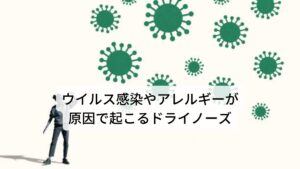 ウイルス感染やアレルギーが原因で起こるドライノーズ鼻粘膜の乾燥によって様々な不調を起こすドライノーズの原因にはウイルス感染やアレルギー性鼻炎などがあります。
感染などによって鼻粘膜に炎症が起こると鼻粘膜の分泌物が低下します。

この分泌の低下が「鼻の中がピリピリと痛む」「鼻の中の奥が痛い」といった鼻の中に不調を起こすドライノーズを引き起こします。
このドライノーズは急性の炎症だけでなく慢性鼻炎でも引き起こされるため、長期に渡ってドライノーズに悩まれる方もいます。

そのため早期に改善させることが大切です。※1