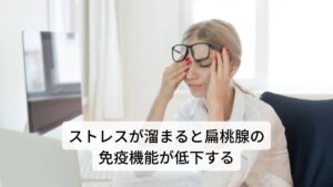 ストレスが溜まると扁桃腺の免疫機能が低下するストレスや疲労が身体に溜まると身体の様々な器官の機能低下が起こります。
その中に扁桃腺の免疫機能も含まれます。

そのため扁桃腺の免疫機能が下がることで細菌やウイルスに対する抵抗力が低下してしまいます。
それによりウイルスや細菌が体内に侵入し増殖しやすくなるのです。

扁桃腺が腫れたり、しこりができるのはこの空気中のウイルスなどが扁桃腺に付着・増殖し炎症が起きている状態です。
健康体であれば、ウイルスが扁桃腺に付着しても免疫細胞やIgA抗体が駆除にかかりスムーズに対処できます。

しかしストレスや過労によって免疫機能が低下している状態では、免疫細胞やIgA抗体の働きが弱まっているため、ウイルスを駆逐しきれずに喉に炎症が起きてしまいます。※2