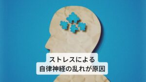 頭に血が上る感じの症状はストレスによる自律神経の乱れが原因この「頭に血が上る感じ」という症状の原因にはストレスによる自律神経の乱れが関係しています。

自律神経は心臓の心拍や血管の脈拍など血液の流れを調節している働きがあります。
この自律神経の働きが身体的、精神的なストレスの影響によって機能が低下したり不具合が生じることがあります。

クリニックではこのような症状を「自律神経の失調」と診断することもあります。
何らかの影響によって頭部や顔面部の血管や血流の調整に異常が起こると「頭に血が上る感じがする」という症状が起こります。※1