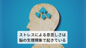 ストレスによる息苦しさは脳の生理現象で起きている人の脳（中枢）にある扁桃体には、感情の動き(情動)と呼吸の両方を司っています。
そのため不安感や緊張、ストレスを感じると扁桃体の情動と呼吸が反応し速く浅い呼吸になります。

また反対にリラックスするとゆっくり深い呼吸になります。
この扁桃体を介した情動と呼吸が連動することを「情動呼吸」と呼び、生理的な働きと考えられています。

しかし強い不安感や過度な緊張を扁桃体が反応して過剰に情動呼吸が働いてしまうと、呼吸の時に働く筋肉がこわばり呼吸の効率が下がります。
そうなると呼吸が浅く早くなり息苦しさの症状が起こります。※1