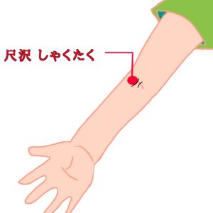 前述の2つに加え、さらに効果を補完するツボを厳選しました。

① 中府（ちゅうふ）：呼吸を深くする
・場所： 鎖骨の外側の端から、指1本分下のくぼみ。
・効果： 肺の機能を高め、呼吸を楽にする効果があります。猫背や巻き肩で胸が閉じている人にも有効です。

② 尺沢（しゃくたく）：咳や痰を鎮める
・場所： 肘の内側のしわの上。硬い腱の親指側にあるくぼみ。
・効果： 肺の熱を下げ、深い呼吸を助けます。喉の乾燥や炎症がある時にもおすすめです。

③ 太淵（たいえん）：呼吸器を強くする
・場所： 手首のしわの親指側、脈が触れるくぼみ。
・効果： 肺のエネルギーを補い、慢性的な息苦しさや疲れやすさを改善します。

④ 神門（しんもん）：不安を鎮める
・場所： 手首のしわの小指側、骨と筋の間のくぼみ。
・効果： 精神を安定させ、パニックによる過呼吸気味な状態を落ち着かせます。

⑤ 労宮（ろうきゅう）：心のリラックス
・場所： 手を軽く握った時、中指の先が当たるところ。
・効果： 「心の疲れ」を癒すツボです。緊張で呼吸が浅くなっている時に最適です。