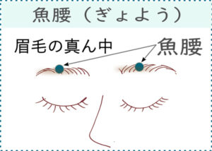 【改善例&効果の高いツボ 】ストレスで物が二重に見える（40代女性）【治療の体験者＆改善例 】
40代女性で「1年前からストレスが溜まると目がかすんだり二重に見える」との訴えでご来院されました。
当院にご来院される前に眼科での検査を受けていますが、「原因不明」との診断を受けています。

当院では東洋医学的な問診と検査によって複視の原因を体質からお調べし鍼灸治療を行いました。
問診では複視の症状だけでなく、イライラ、不眠、胃酸過多、便秘などがあるとのことでした。

状態としては「ストレスによる神経性疲労の体質」であると判断しました。
そのため治療計画では身体に蓄積したストレスと神経性疲労を完治することを中心とした鍼灸を行い、症状の改善を促しました。

【主に利用したツボ】
・魚腰（ぎょよう）・・・眉毛の真ん中あたり。