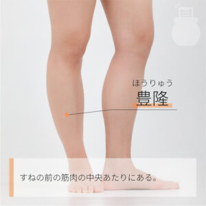 ストレス性胃腸炎を改善させる効果的なツボ【ストレス性胃腸炎を改善させる効果的なツボ】
・豊隆（ほうりゅう）・・・膝と足首の中間で外側の筋肉が１番盛り上がっているところ。
【ツボマッサージのポイント】
やや親指を立てた状態でツボの周囲を押してとズーンと響くポイントがあります。
響くところを見つけたらじっくりと5秒間指圧したあとに力を緩めずに小さく円を描くようにマッサージしてみてください。
これを左右で3セット行います。