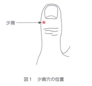 道具を使わず、今すぐどこでもできる「ツボ押し」は、声枯れの強い味方です。

① 万能のツボ：合谷（ごうこく）
喉の痛み、腫れ、声枯れなど、首から上のあらゆるトラブルに効く「最強の万能ツボ」です。
・場所： 手の甲側、親指と人差し指の骨が交わるＶ字の付け根から、少し人差し指寄りのくぼみ。
・効果： 喉の炎症を鎮める効果が期待できます。

② 乾燥を物理的に癒やす：頬車（きょうしゃ）
唾液の分泌を促し、喉を物理的に潤してくれます。
・場所： 耳の付け根のすぐ下、エラの角から少し内側。歯を食いしばった時にポコッと盛り上がる部分。
・効果： 唾液が出ることで、乾燥による声枯れを即座に和らげます。

③ 加齢や慢性の枯れに：太渓（たいけい）
「最近、声が枯れやすくなった」という30〜50代の方に必須のツボです。
・場所： 内くるぶしとアキレス腱の間にあるくぼみ。
・効果： 全身の水分保持能力を高め、体の中から喉を潤します。

④ ストレス性の詰まりに：天突（てんとつ）
「喉に何かが詰まっている感じ（梅核気）」がして声が出にくい時に。
・場所： 左右の鎖骨が合流する中央のくぼみ。
・効果： 喉周辺の筋肉の緊張を緩め、声の通りをスムーズにします。

⑤ 喉の熱を逃がす：少商（しょうしょう）
風邪気味で、喉が熱を持って痛む時に。
・場所： 親指の爪の根元、外側（人差し指と反対側）の角のすぐ横。
・効果： 喉の熱を取り除き、腫れを鎮める即効性が期待されます。