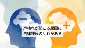 声枯れが起こる原因に自律神経の乱れがある細菌やウイルスなど感染症でもないのに声枯れが突然起こることは多々あります。
その原因には自律神経の乱れが関係しています。

自律神経の働きは喉の周囲では免疫系統の調整や声帯や食道の筋肉の収縮や弛緩などを調整しています。
そのため自律神経の不調が起こると喉の周りの筋肉の調整に不具合が生じてしまい上手く発声ができず声枯れが起こることがあります。

風邪などの喉の炎症がなく声枯れが起きた場合は改善させるには自律神経の働きを正常に戻す必要があります。

【注釈】声枯れ症状がなくても喉に詰まり感がある場合はヒステリー球（梅核気）の可能性があります。この症状も自律神経が関係しています。※1