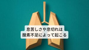 息苦しさや息切れは酸素不足によって起こる呼吸とは生理学的には外界から酸素を取り入れ、二酸化炭素を外界に放出する働きのことです。
呼吸によって肺から取り込まれた酸素は、身体の隅々まで血液によって運ばれ、生命を維持しています。

この大切な酸素が不足したり、二酸化炭素量が増加すると、様々なセンサーが感知し、呼吸を促進させるために息切れや息苦しさとして反応が起こります。
またこの息切れや息苦しさは同じ症状（反応）として考えます。この呼吸を調整しているのが自律神経になります。※1