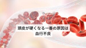 頭皮が硬くなる一番の原因は血行不良栄養バランスが取れていない食生活、運動不足、睡眠不足、喫煙や過度な飲酒など、生活習慣の乱れも頭皮環境を悪化させ、血行不良を起こして頭皮を硬くさせる原因になります。
慢性的な運動不足も、筋肉のポンプ作用による血流促進が減少してしまうため血流の悪化につながり頭皮を硬くする要因になります。

また筋力が低下するほか、新陳代謝も減少するため身体が冷えやすくなり、結果として血流が悪化しやすくなります。
さらに過度な心身のストレスも同様に悪影響を及ぼします。

ストレスがかかると自律神経が乱れてしまい、身体が緊張し成長ホルモンの分泌量を低下してしまうことでことで頭皮の新陳代謝が下がり硬くなってしまいます。※1